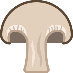 Mushroom  Icon