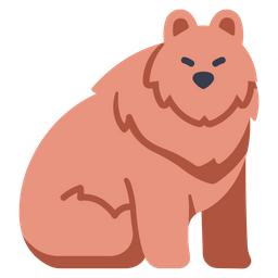 Urso  Ícone