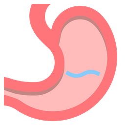 Gastroenterologie  Symbol