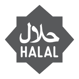 Halal sign  Icon