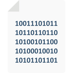 Binary Sheet  Icon