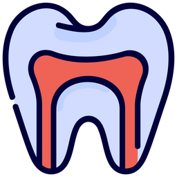 Anatomy  Icon