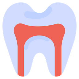 Anatomia  Ícone