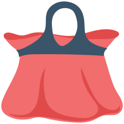 Bag  Icon