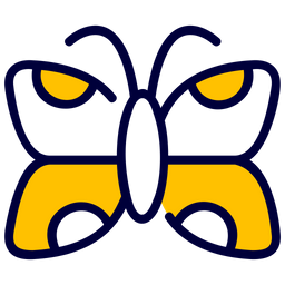 Butterfly  Icon