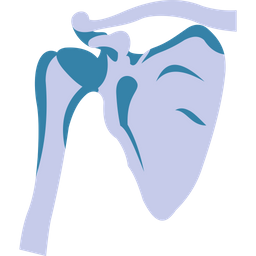 Anatomy Body Bone Icon