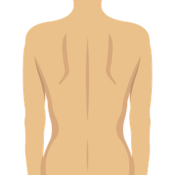 Back Body  Icon