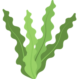 Algae  Icon