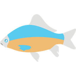 Aquatic Fish  Icon