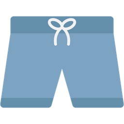 Beach Shorts  Icon