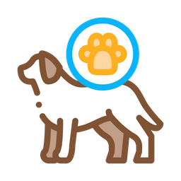 Dog Footprint  Icon