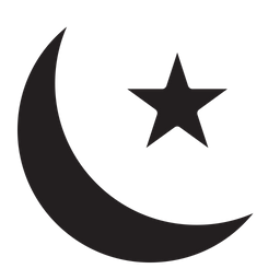 Moon  Icon