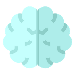 Brain  Icon