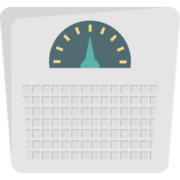 Bathroom Scale  Icon