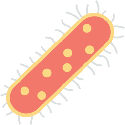 Bacterias  Icono