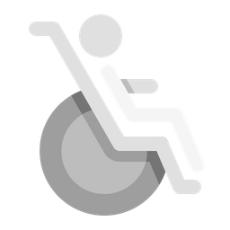 Handicap  Icon