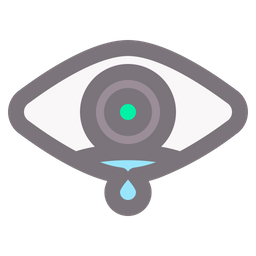 Eye  Icon