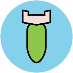 Bomb  Icon