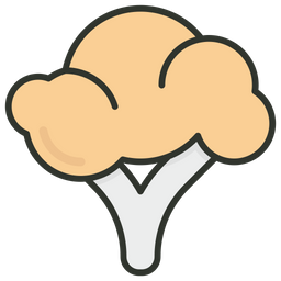 Cauliflower  Icon