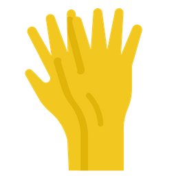 Gloves  Icon