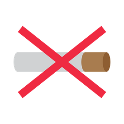 No Smoke  Icon