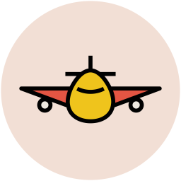 Airbus  Icon