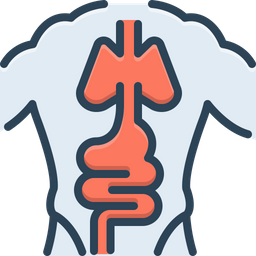 Anatomy  Icon