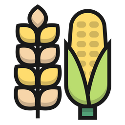 Rice and Corn  Icon