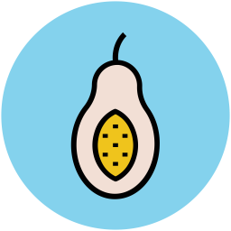 Avocado  Icon