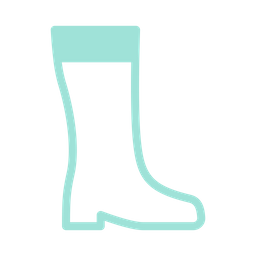 Boot  Icon