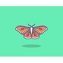 Butterfly  Icon