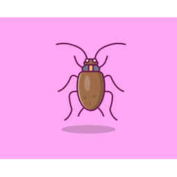 Beetle  Icon