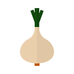 Onion  Icon