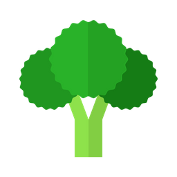 Broccoli  Icon