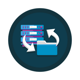 Data Backup  Icon