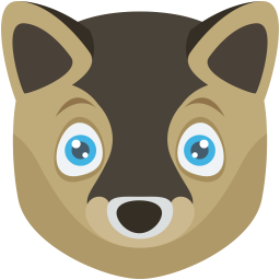 Bear  Icon