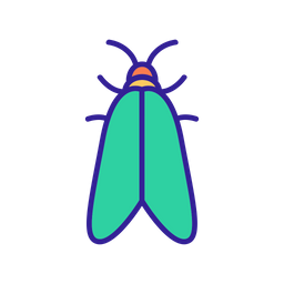 Beetle  Icon