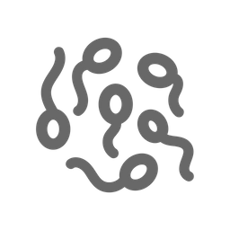 Sperm  Icon