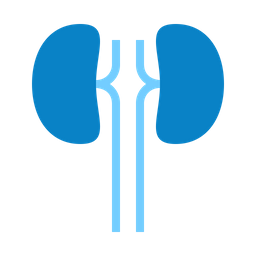 Kidney  Icon