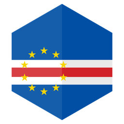 Flag  Icon