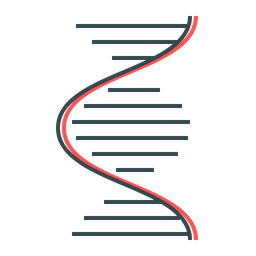 Dna  Icon