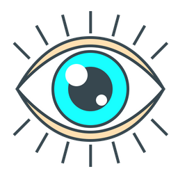 Eye  Icon