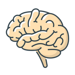 Brain  Icon