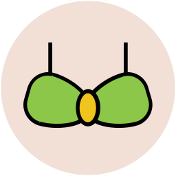 Bra  Icon