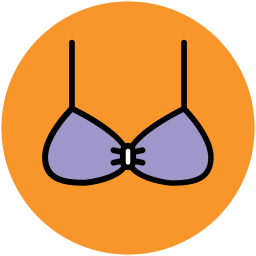 Bra  Icon