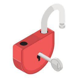 Access key  Icon