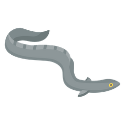 Eel Fish  Icon