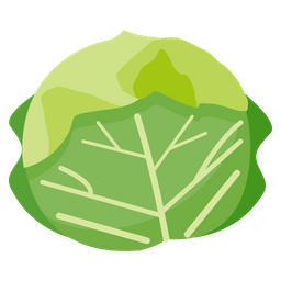 Cabbage  Icon