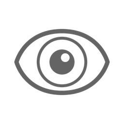 Eye  Icon