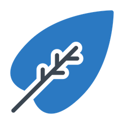 Leaf  Icon